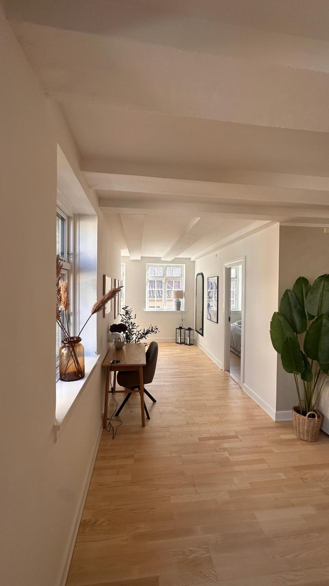 Apartment Lovstraede From 1 To 6 - Carolinas *